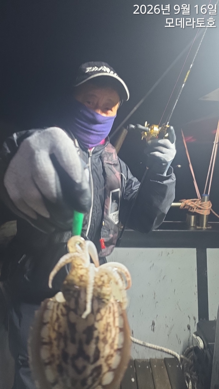 9월 16일 갑오징어 선상낚시 조황 현장 사진 7