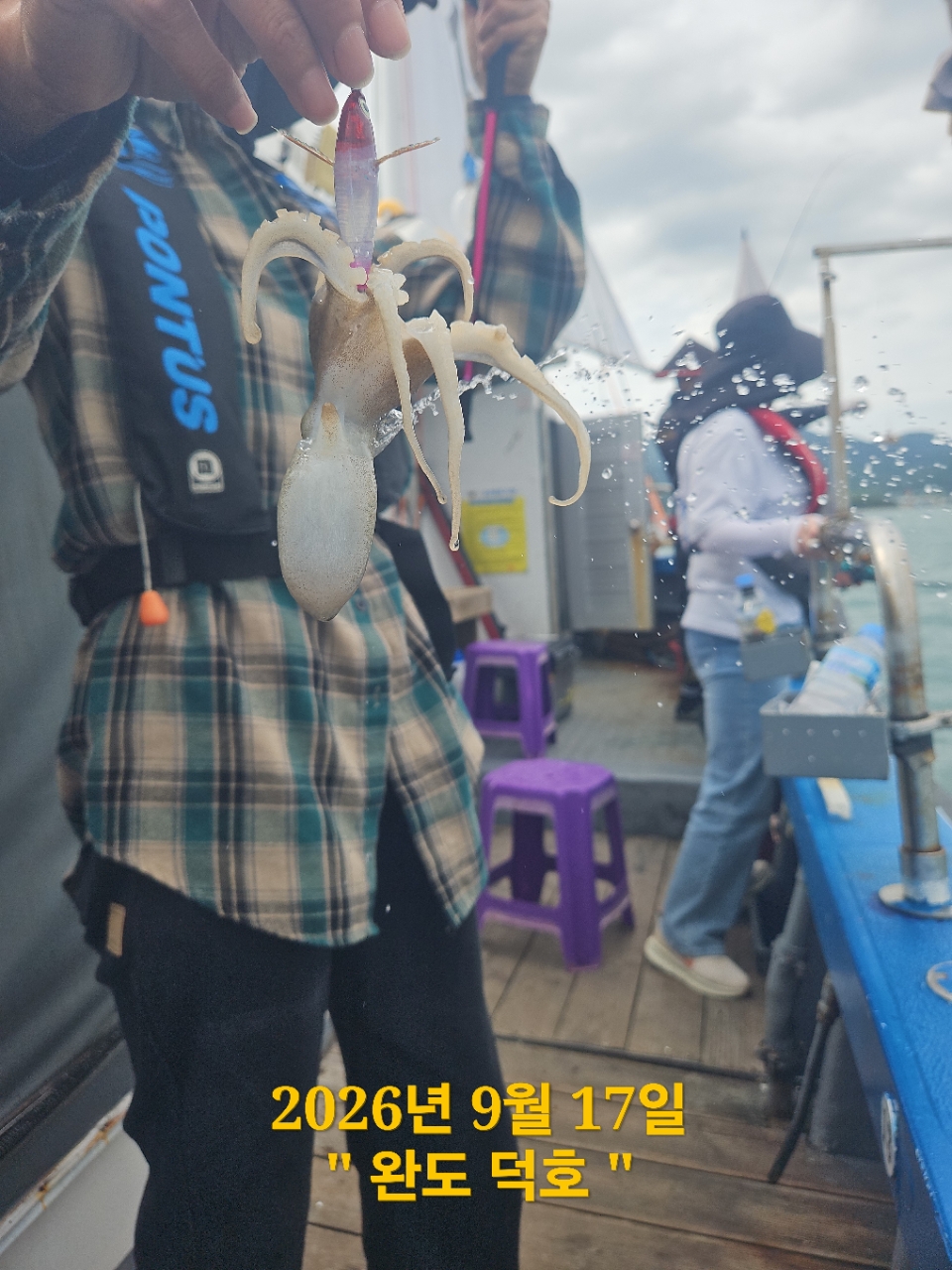 9월 17일 완도 주꾸미 선상낚시 조황 현장 사진 9