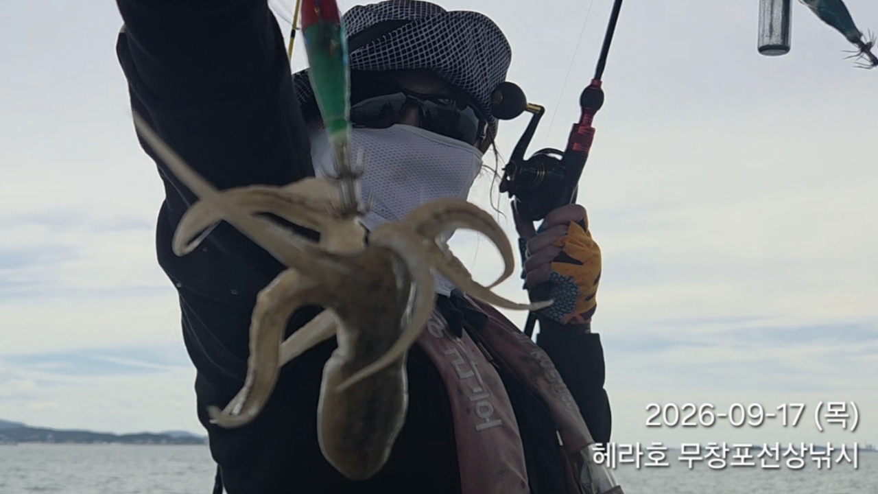 9월 17일 여수 주꾸미 선상낚시 조황 현장 사진 4