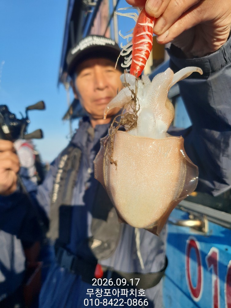 9월 17일 포항 주꾸미 선상낚시 조황 현장 사진 21