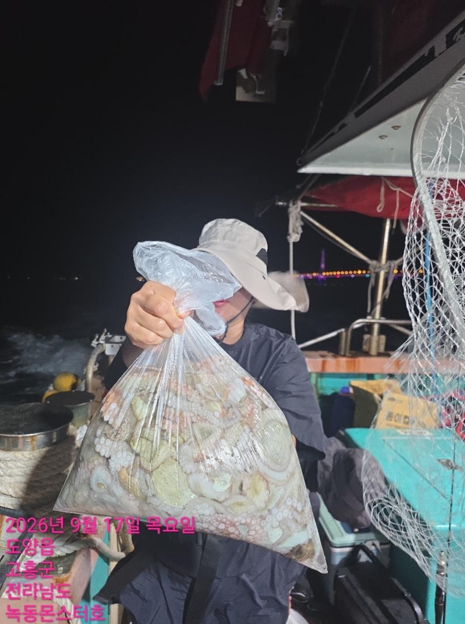 9월 17일 통영 문어 선상낚시 조황 현장 사진 16