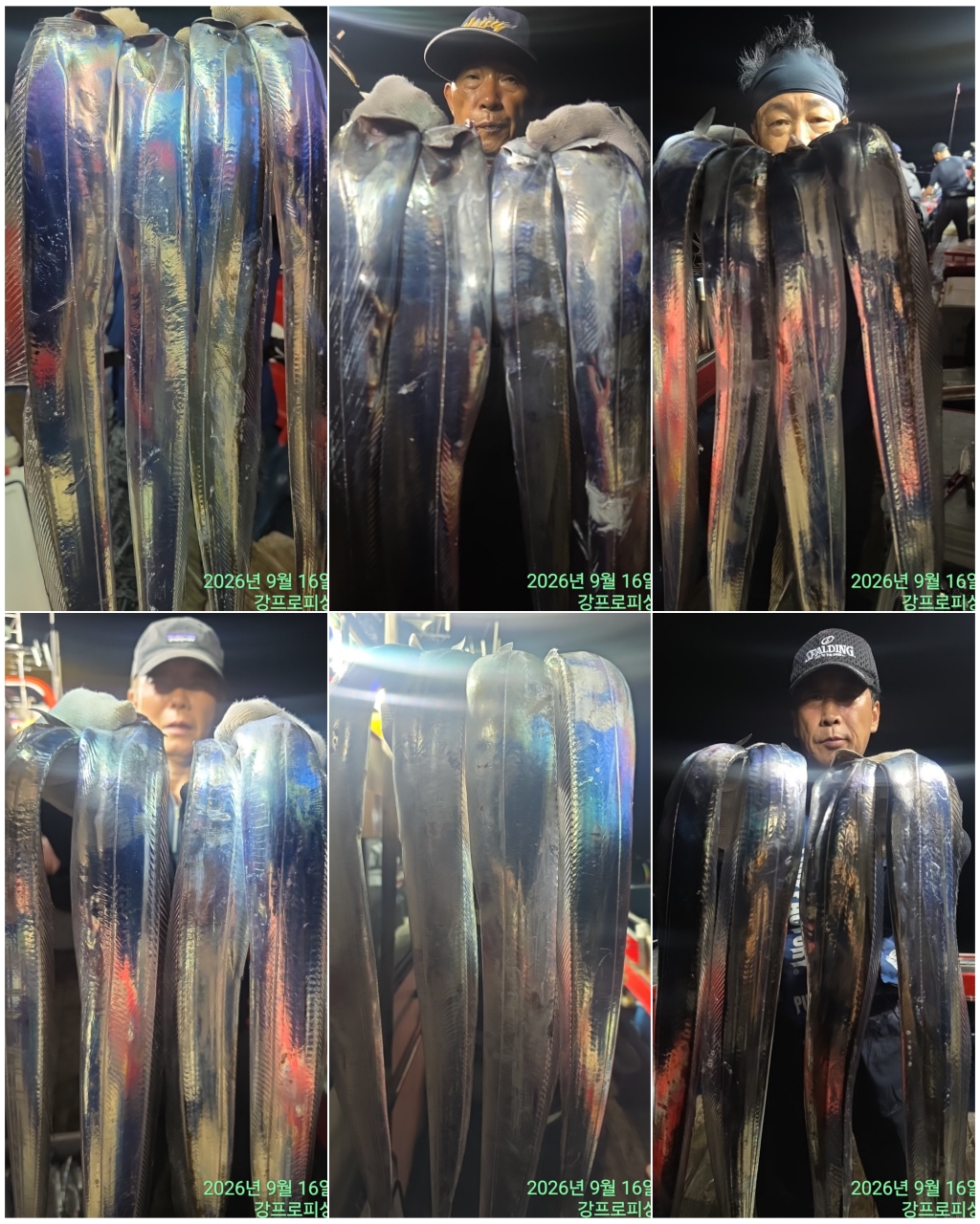 9월 15일 남해 갈치 선상낚시 조황 현장 사진 5