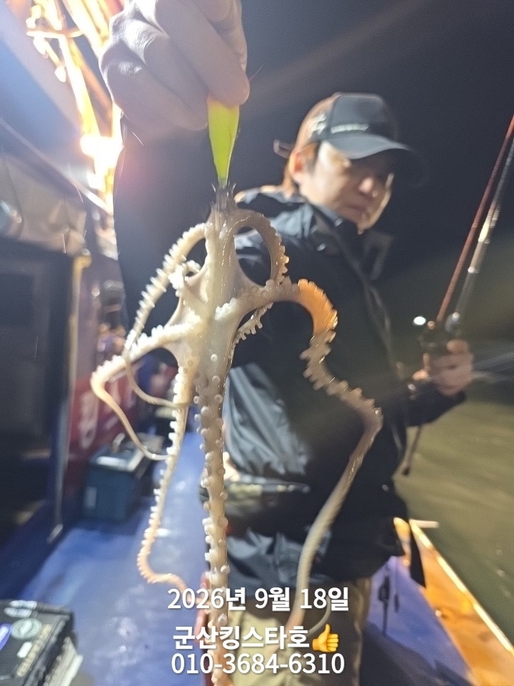 9월 18일 군산 주꾸미 선상낚시 조황 현장 사진 1