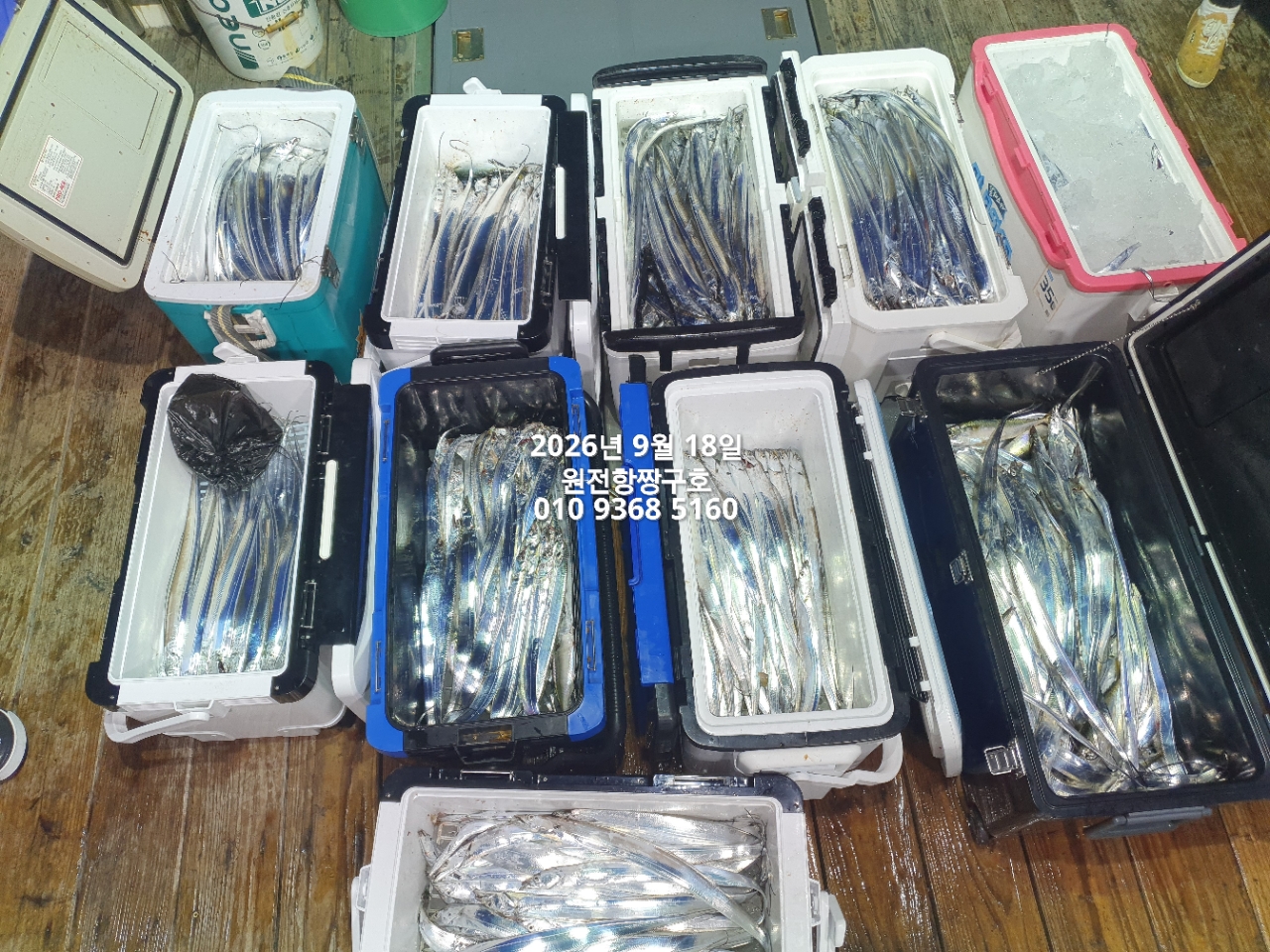 9월 18일 갈치 선상낚시 조황 현장 사진 9
