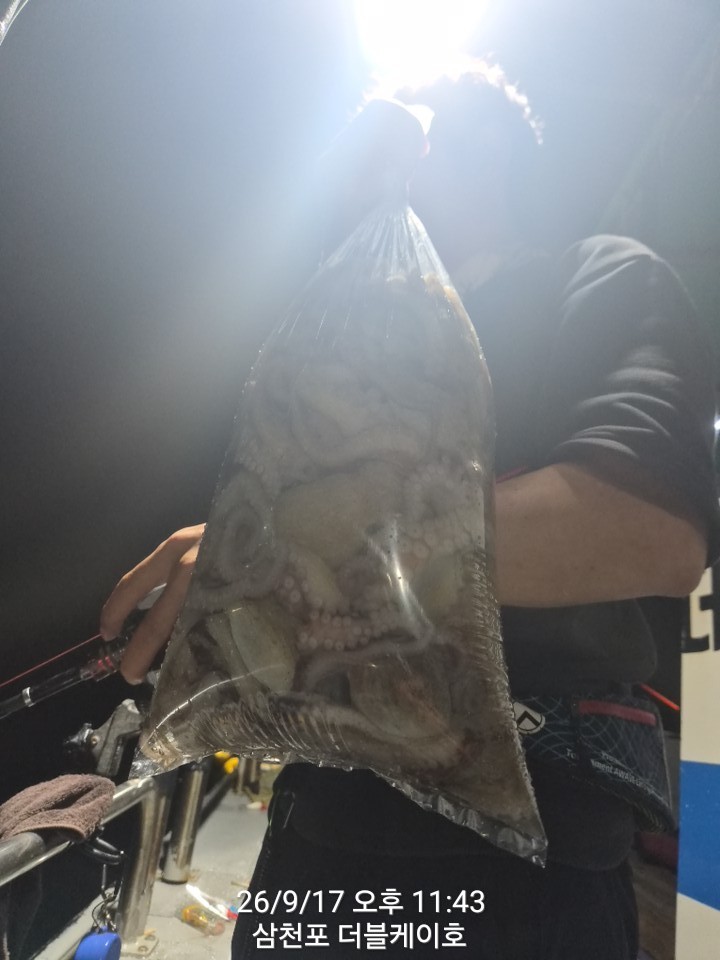 9월 18일 문어 선상낚시 조황 현장 사진 23