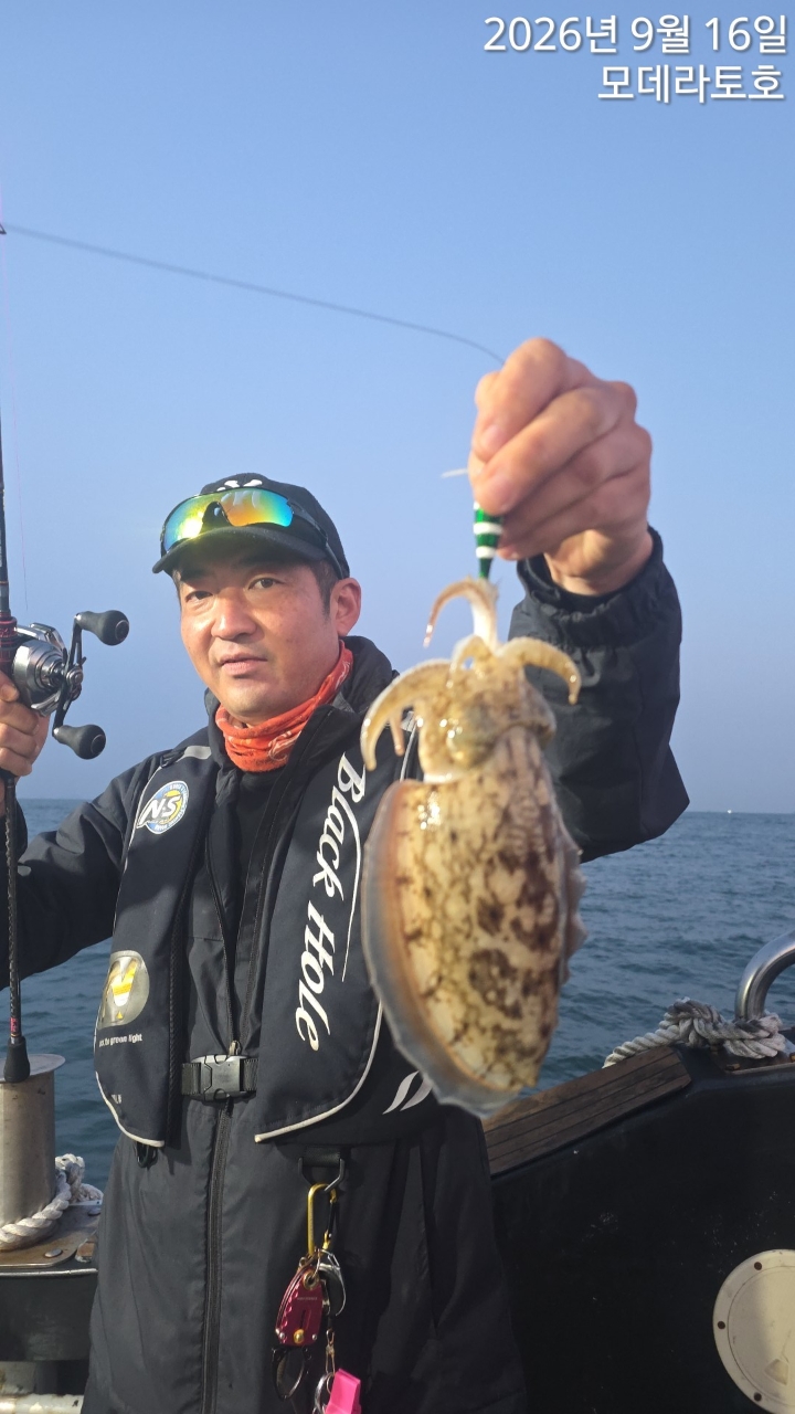 9월 16일 갑오징어 선상낚시 조황 현장 사진 5