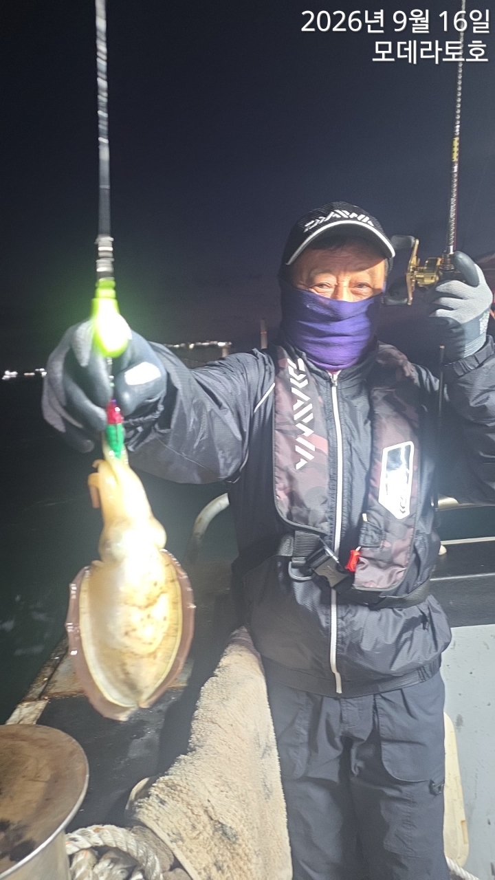 9월 16일 갑오징어 선상낚시 조황 현장 사진 6