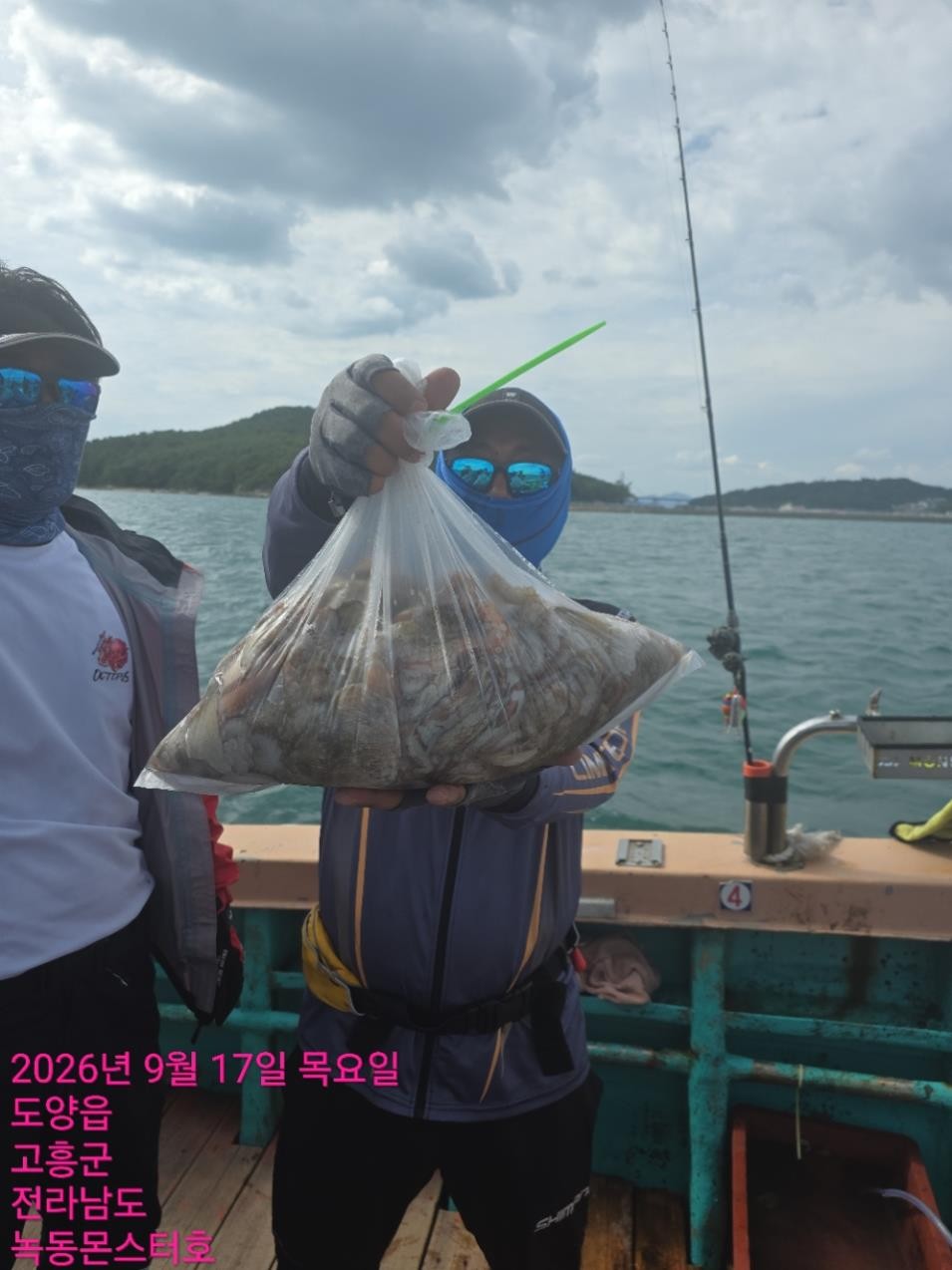 9월 17일 통영 문어 선상낚시 조황 현장 사진 7
