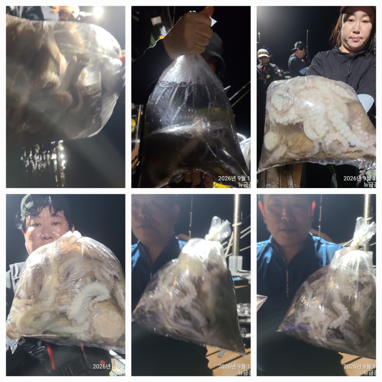 9월 17일 문어 선상낚시 조황 현장 사진 2