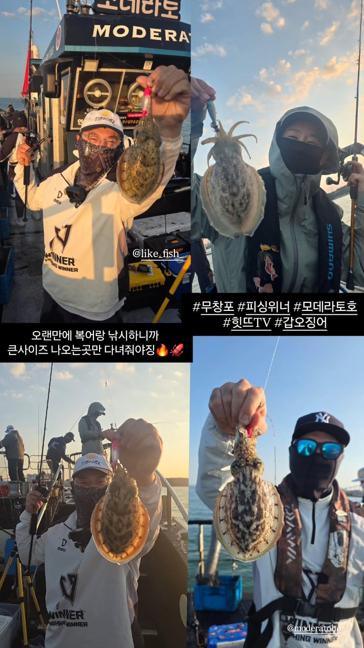 9월 16일 갑오징어 선상낚시 조황 현장 사진 1