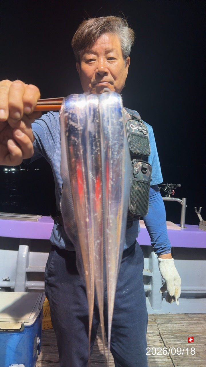 9월 18일 갈치 선상낚시 조황 현장 사진 8