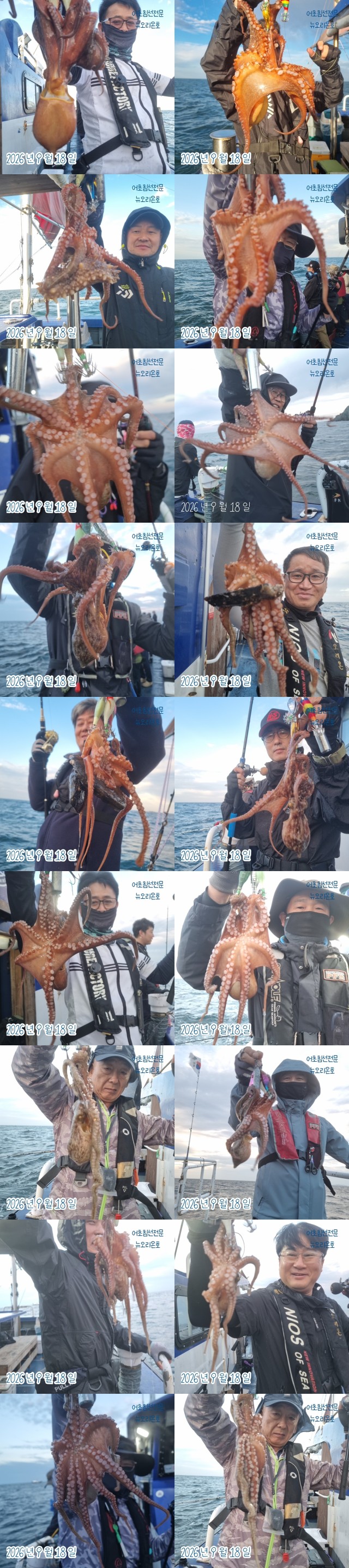 7월 1일 군산 주꾸미 선상낚시 조황 현장 사진 1