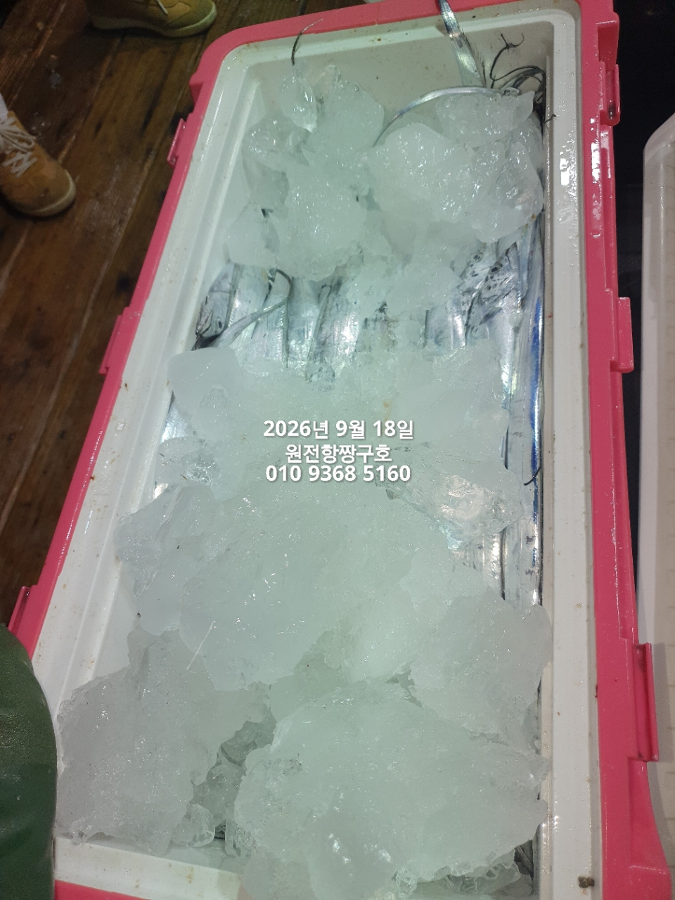 9월 18일 갈치 선상낚시 조황 현장 사진 13