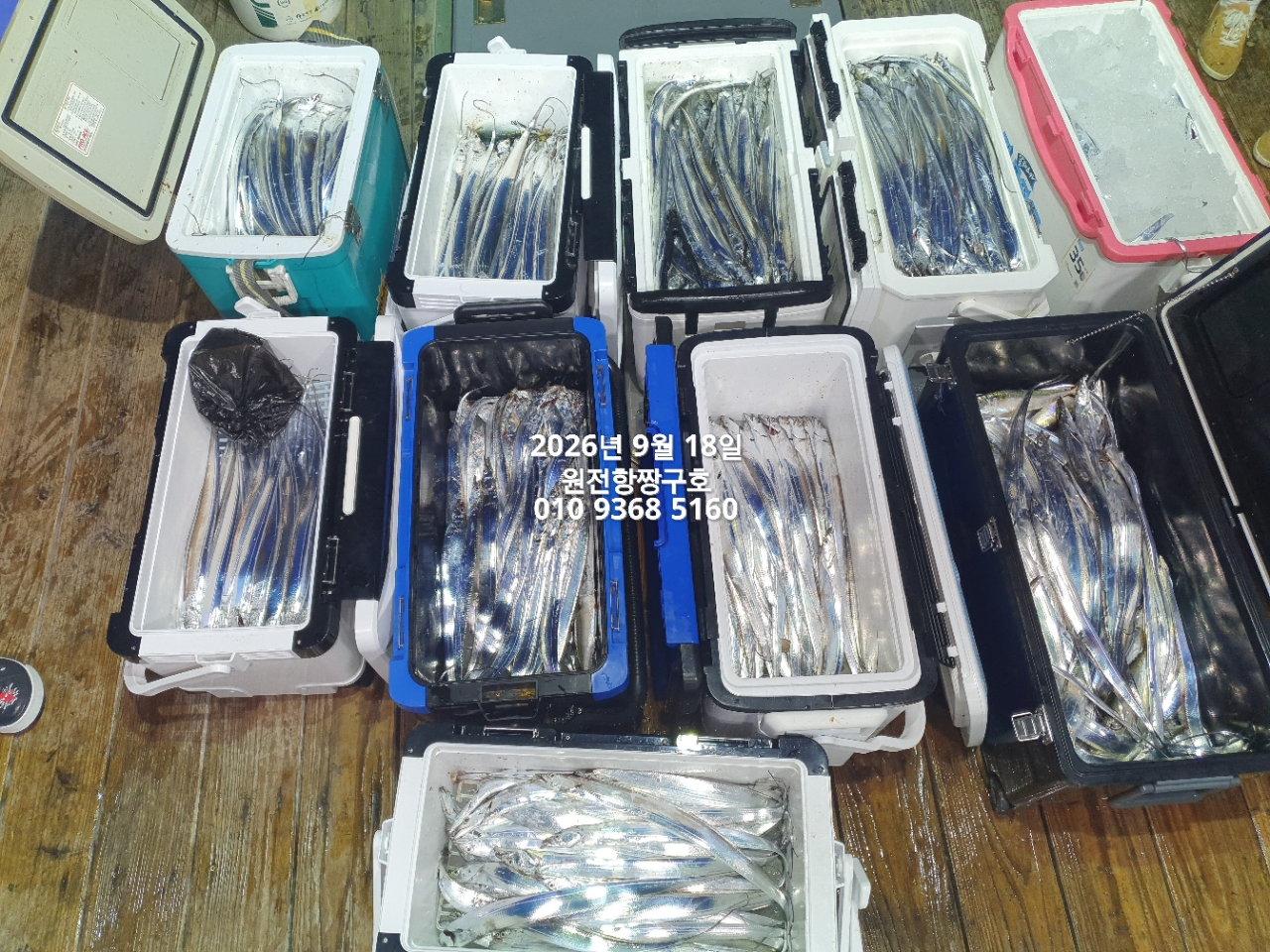 9월 18일 갈치 선상낚시 조황 현장 사진 7