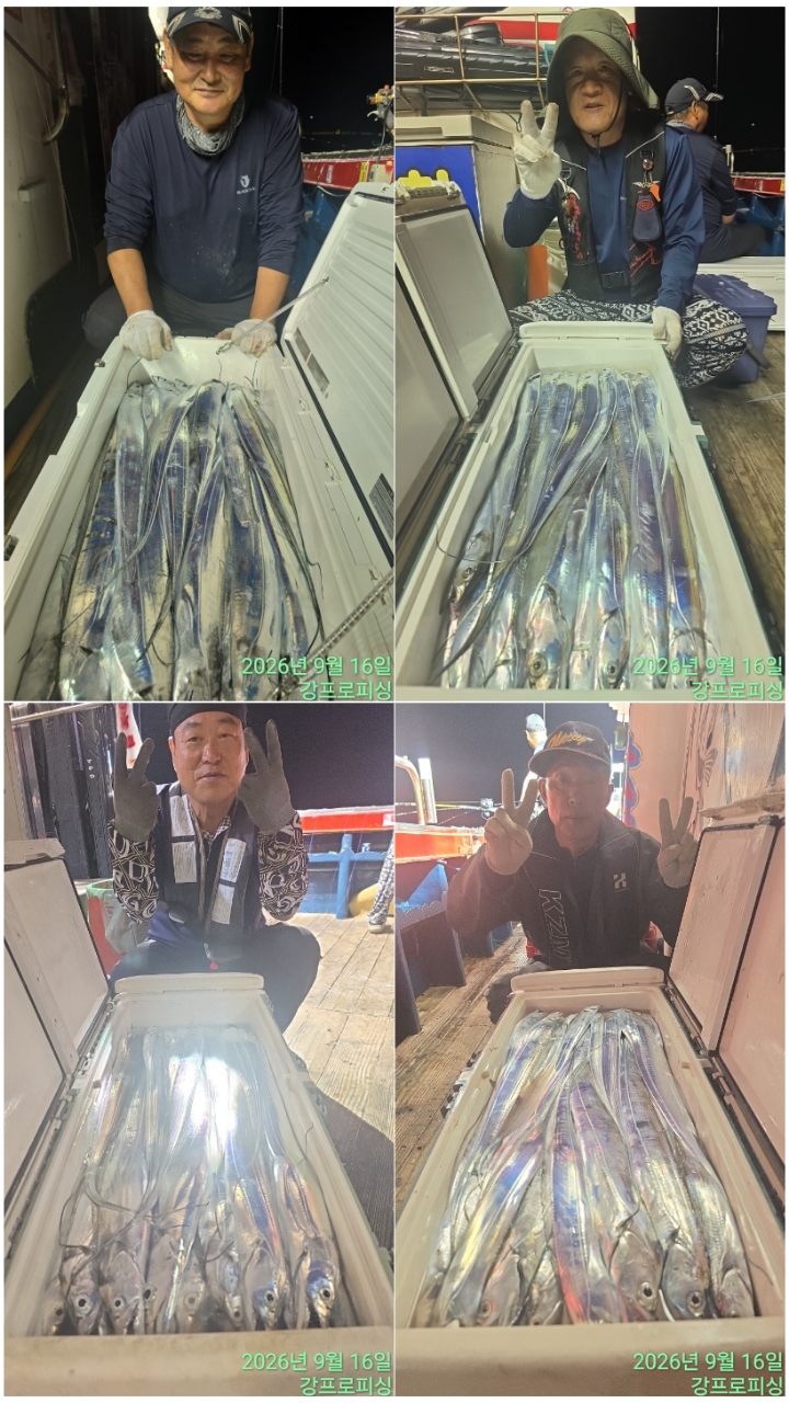 9월 15일 남해 갈치 선상낚시 조황 현장 사진 2