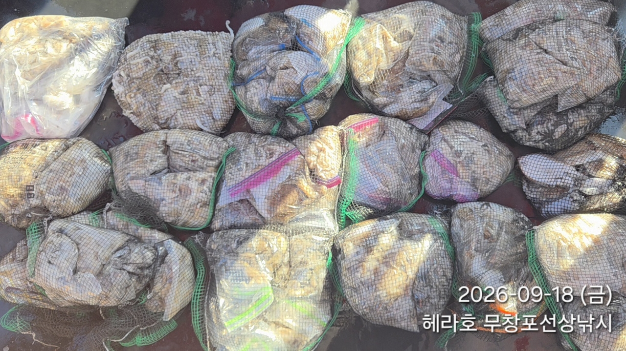 9월 18일 여수 주꾸미 선상낚시 조황 현장 사진 6