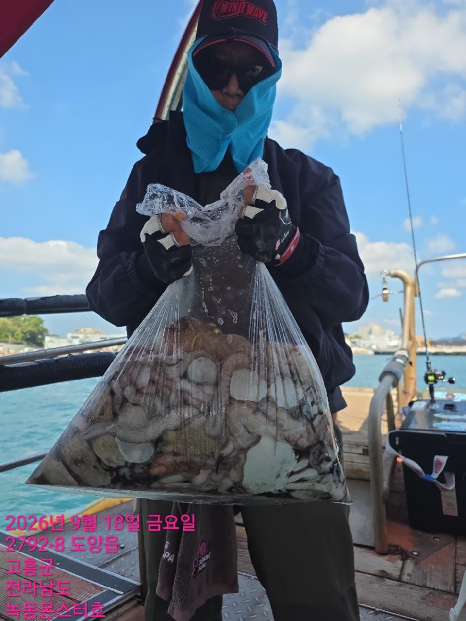 9월 18일 통영 문어 선상낚시 조황 현장 사진 2