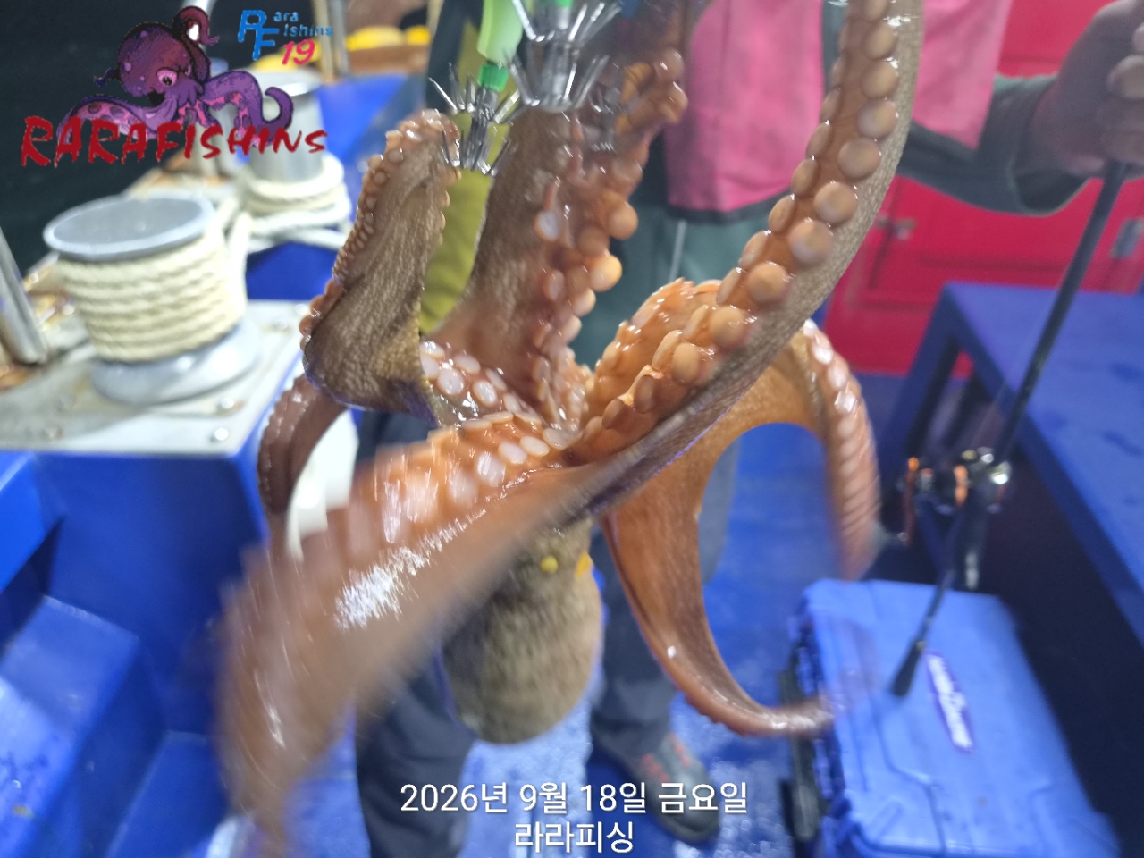 9월 18일 진해 문어 선상낚시 조황 현장 사진 5