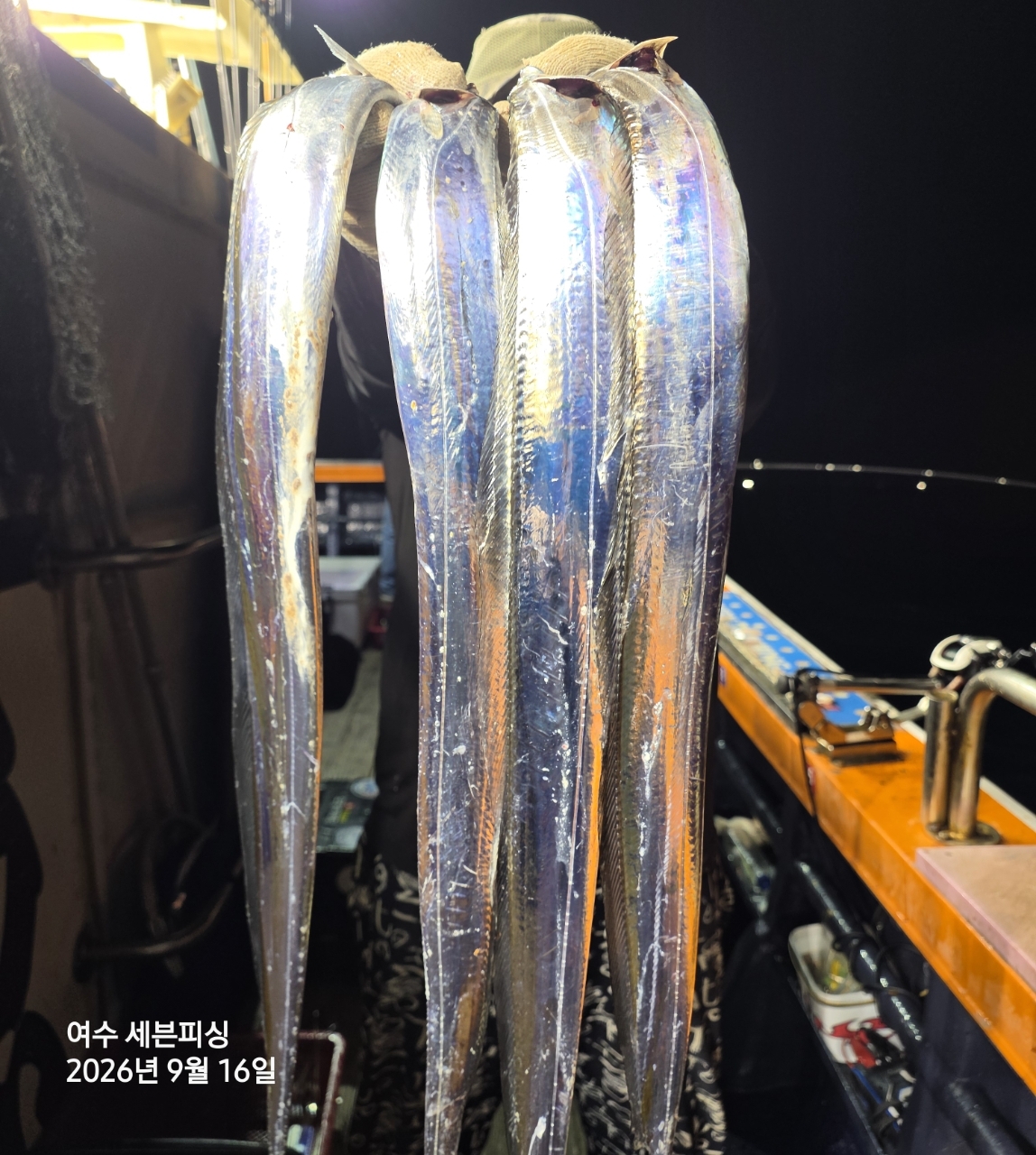 9월 16일 여수 갈치 선상낚시 조황 현장 사진 4