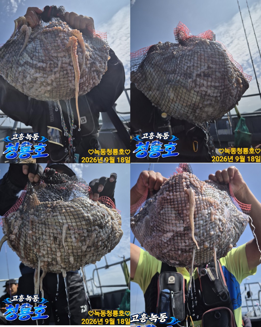 9월 18일 문어 선상낚시 조황 현장 사진 4