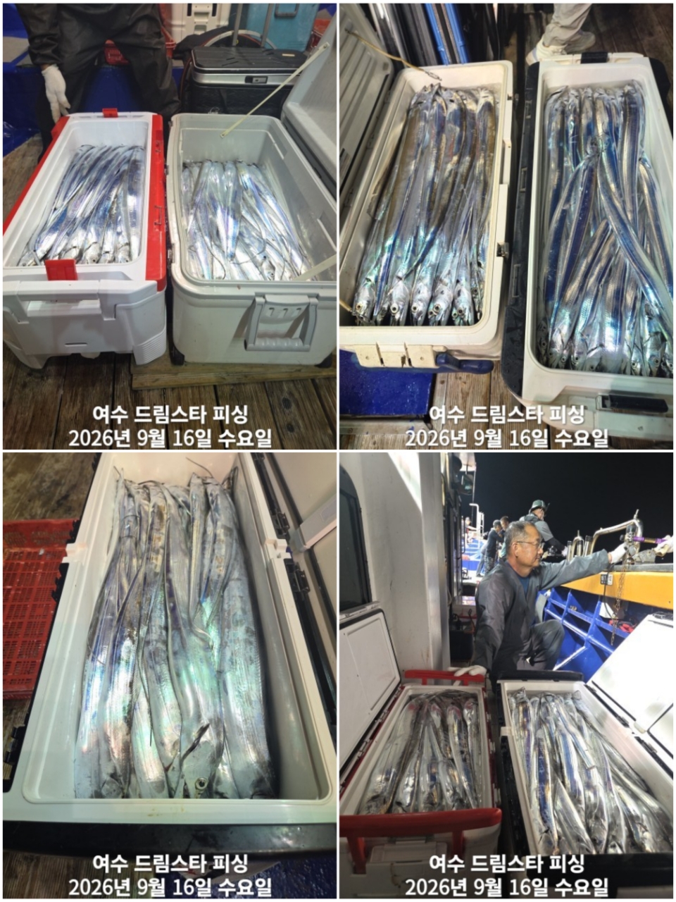 9월 19일 여수 문어 선상낚시 조황 현장 사진 4
