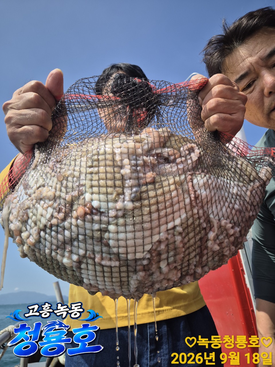 9월 18일 문어 선상낚시 조황 현장 사진 9