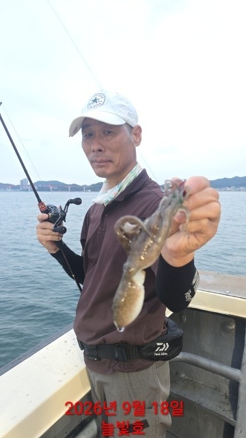 9월 18일 갑오징어 선상낚시 조황 현장 사진 15