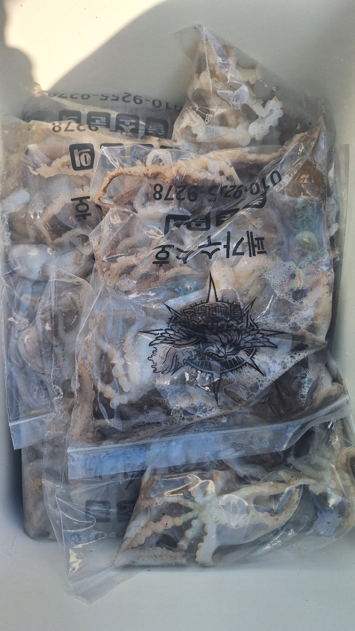 9월 18일 갑오징어 선상낚시 조황 현장 사진 4