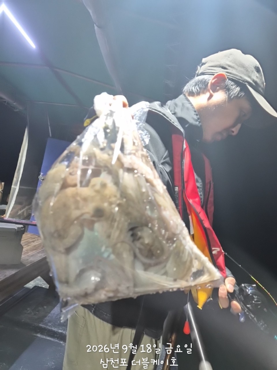 9월 19일 문어 선상낚시 조황 현장 사진 40