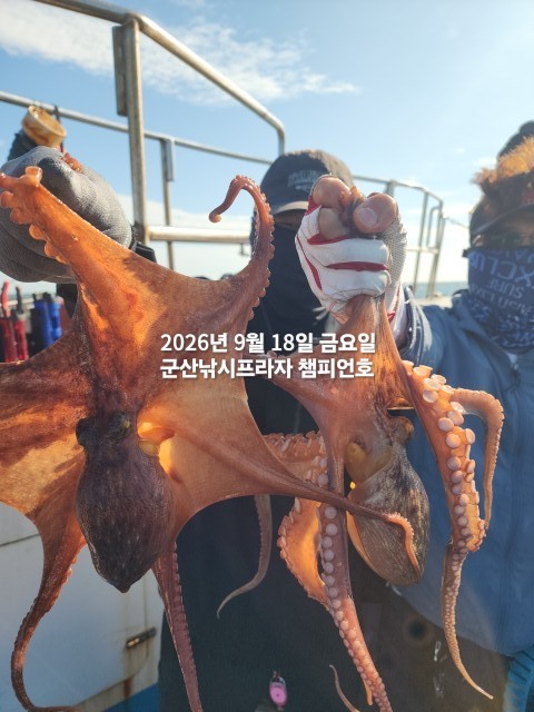 9월 18일 문어 선상낚시 조황 현장 사진 7