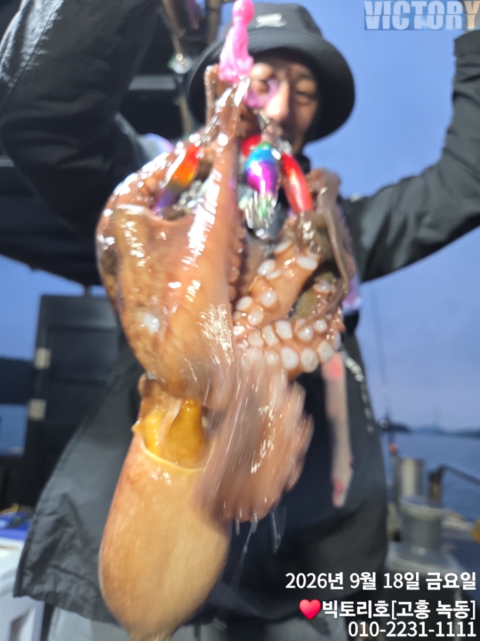 9월 18일 고흥 갑오징어 선상낚시 조황 현장 사진 12