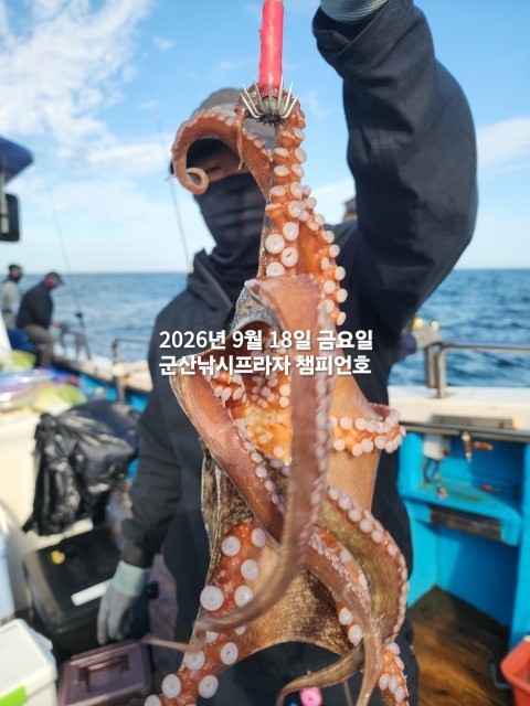 9월 18일 문어 선상낚시 조황 현장 사진 8