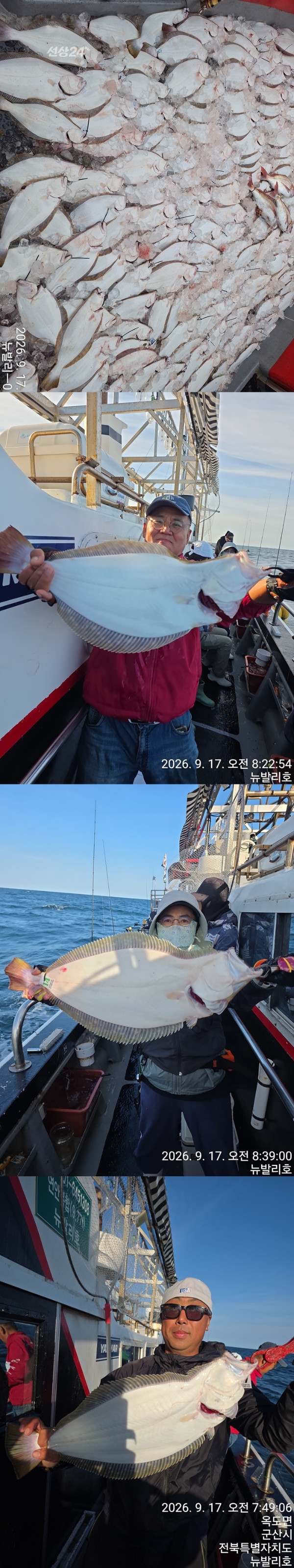 9월 18일 군산 갑오징어 선상낚시 조황 현장 사진 3