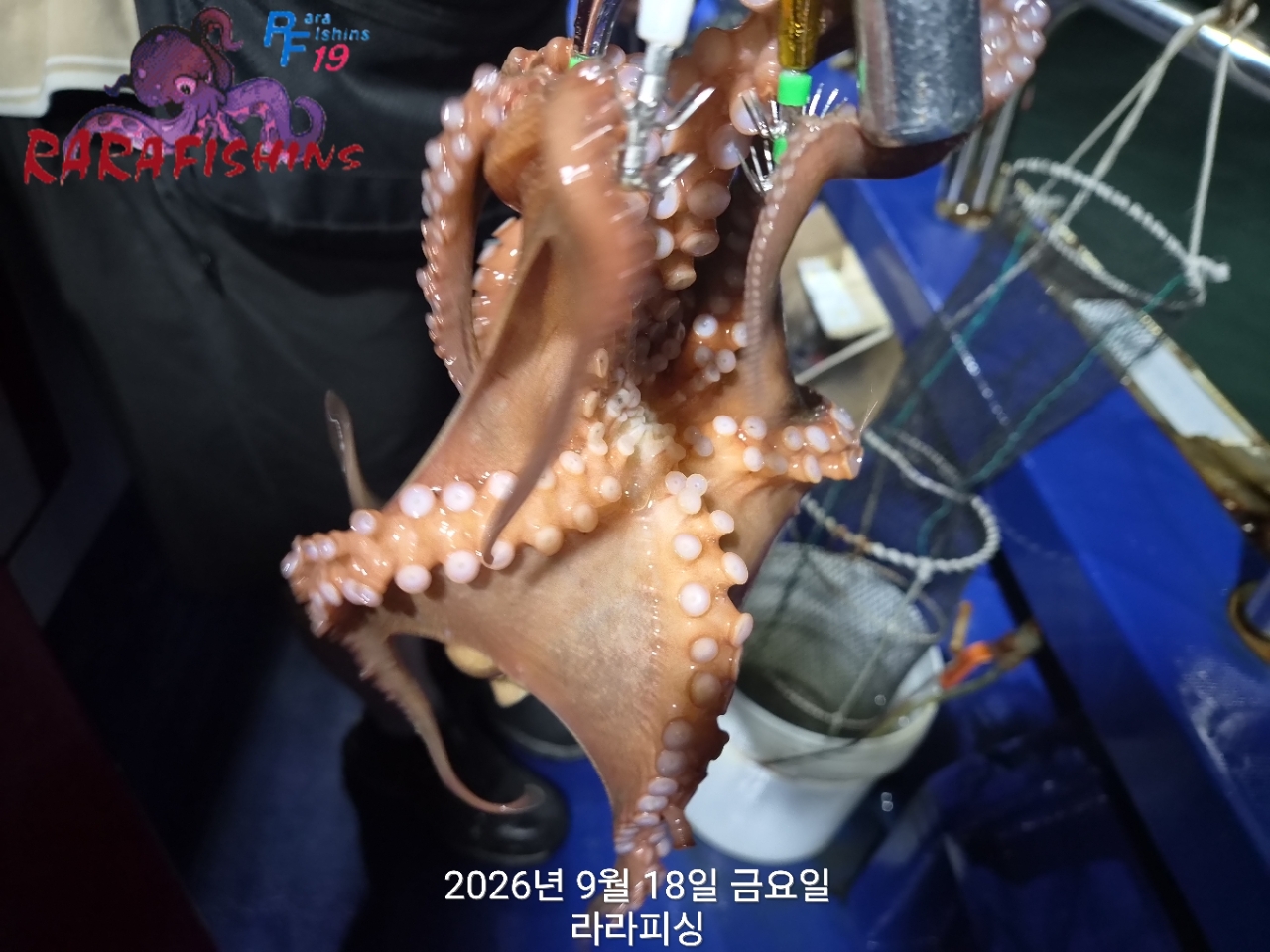 9월 18일 진해 문어 선상낚시 조황 현장 사진 11