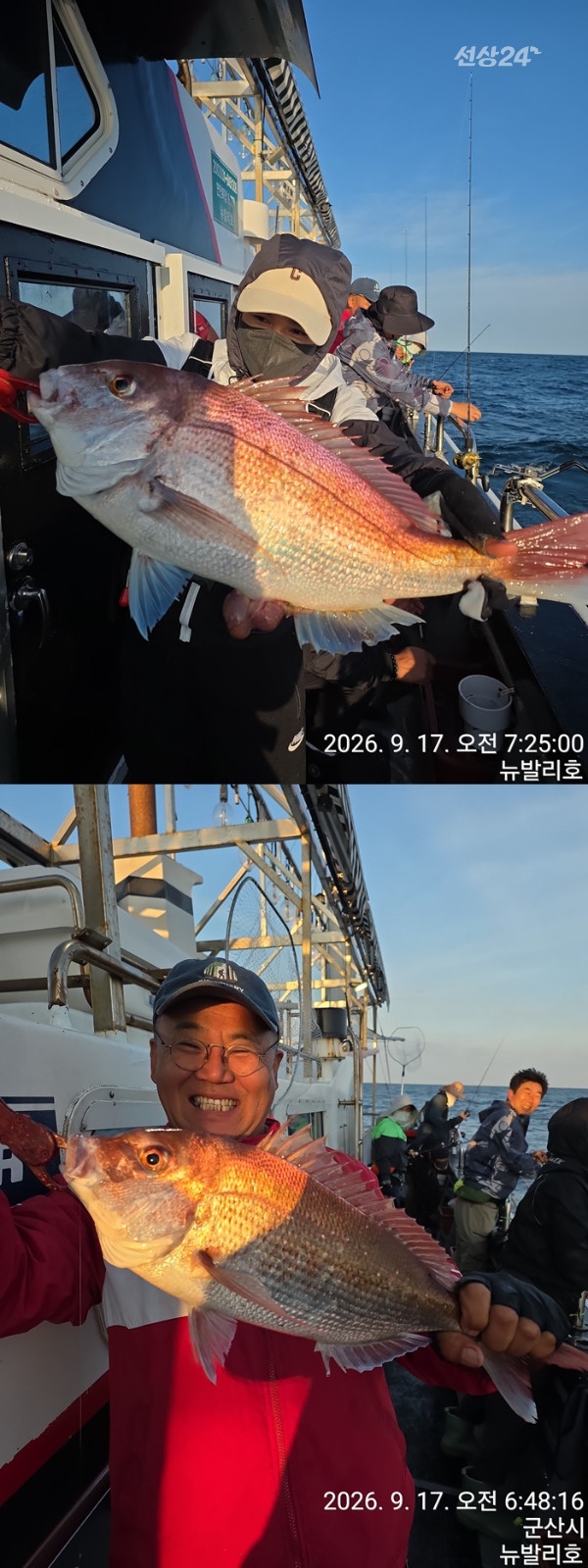 9월 18일 군산 갑오징어 선상낚시 조황 현장 사진 5