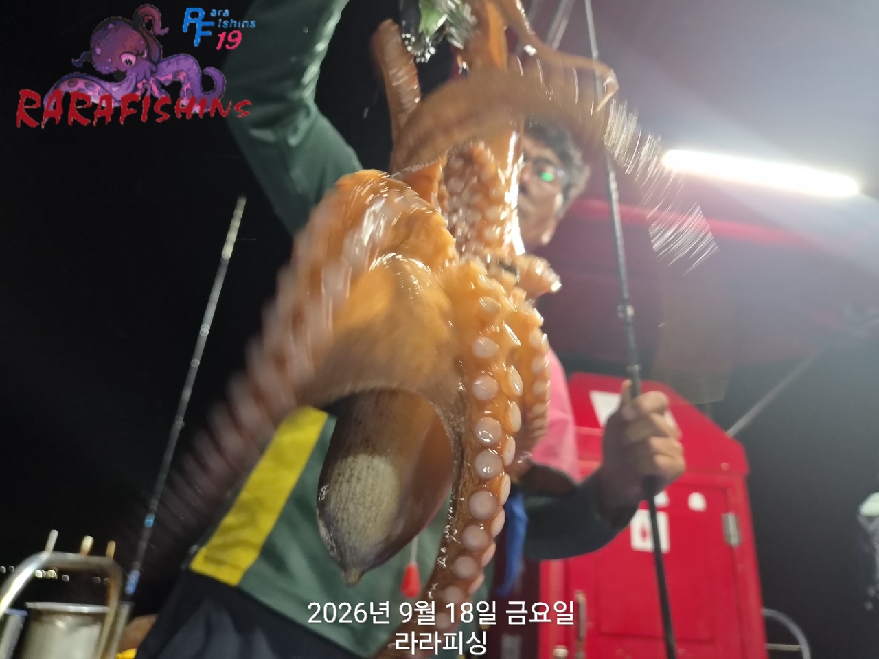 9월 18일 진해 문어 선상낚시 조황 현장 사진 6