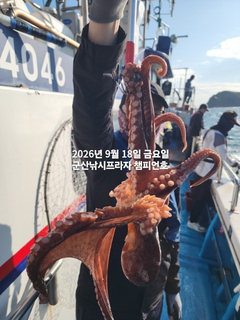 9월 18일 문어 선상낚시 조황 현장 사진 10