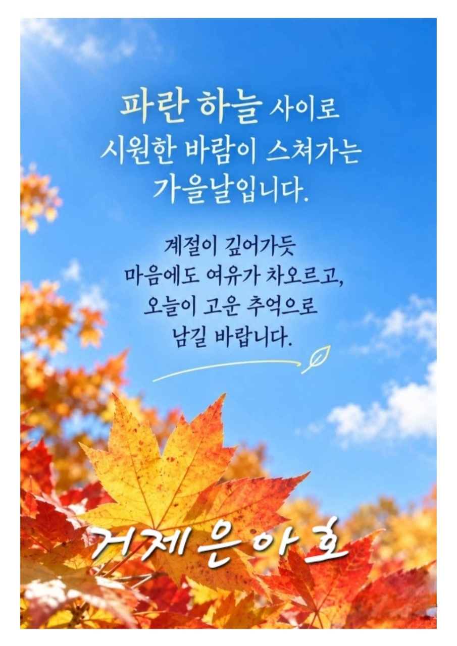 9월 18일 거제 감성돔 선상낚시 조황 현장 사진 1