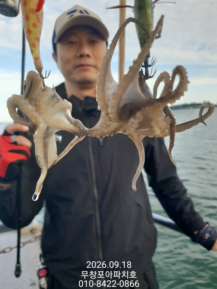 9월 18일 포항 주꾸미 선상낚시 조황 현장 사진 14
