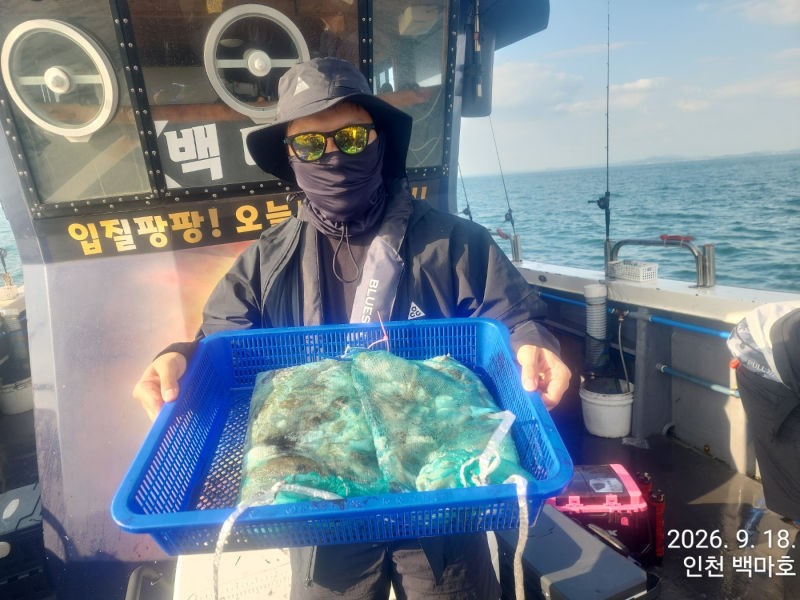 9월 18일 인천 갑오징어 선상낚시 조황 현장 사진 16