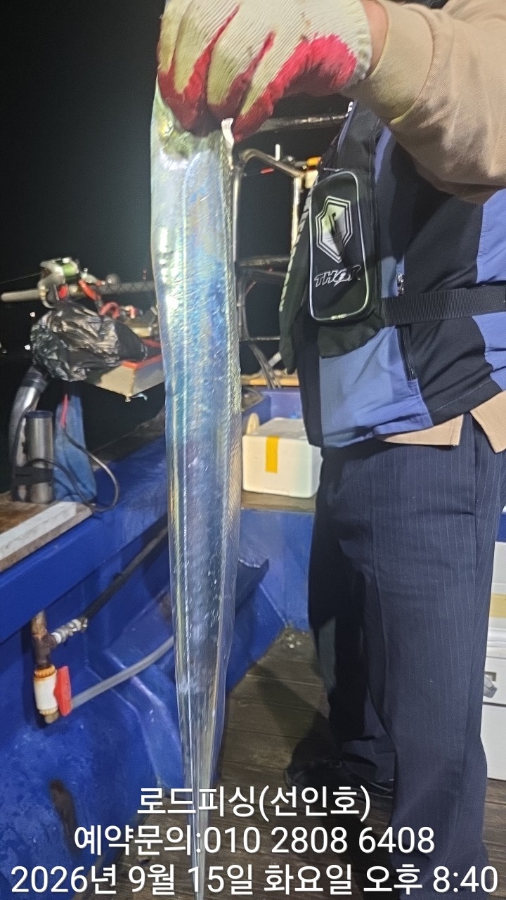 9월 18일 고성 갈치 선상낚시 조황 현장 사진 17