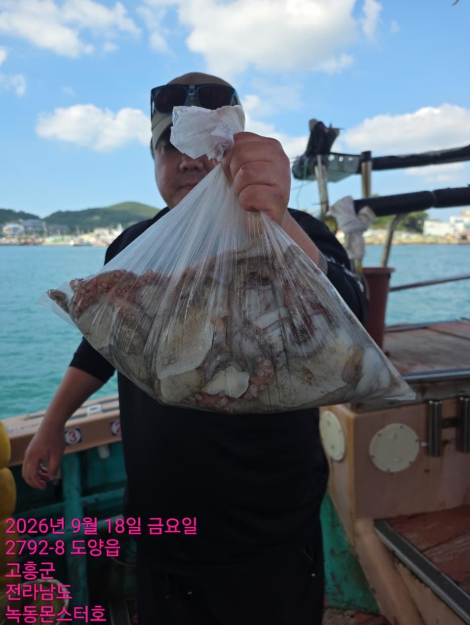 9월 18일 통영 문어 선상낚시 조황 현장 사진 6