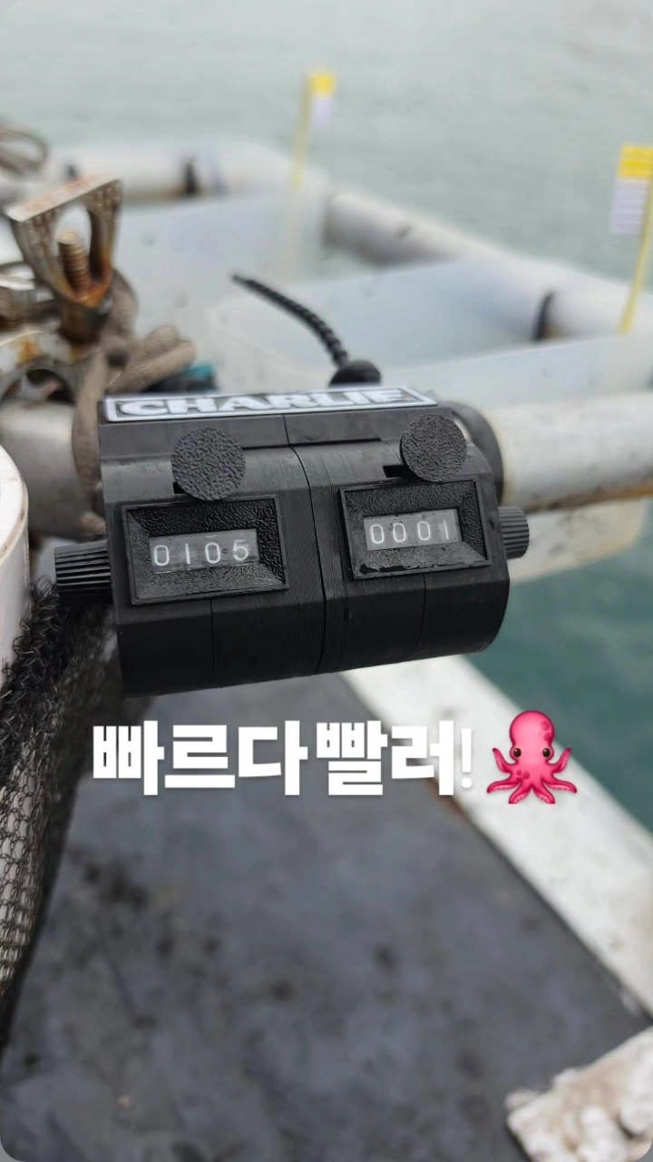 9월 18일 여수 주꾸미 선상낚시 조황 현장 사진 19