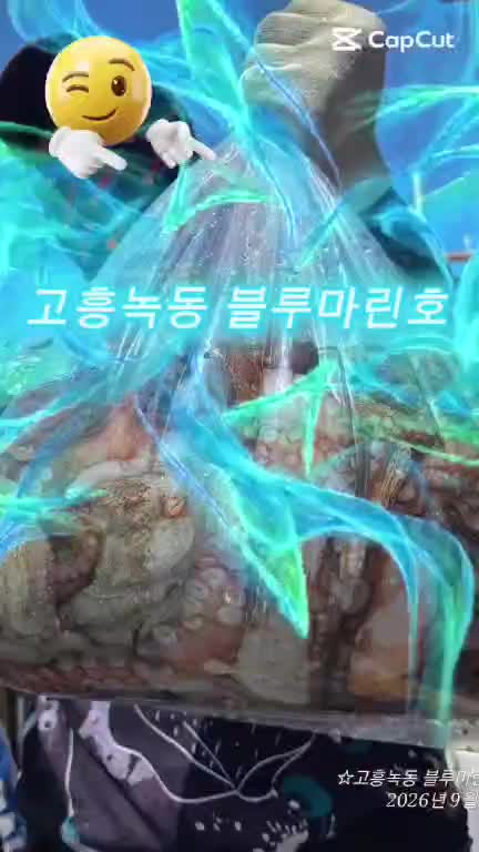 9월 22일 고흥 문어 선상낚시 조황 현장 사진 1