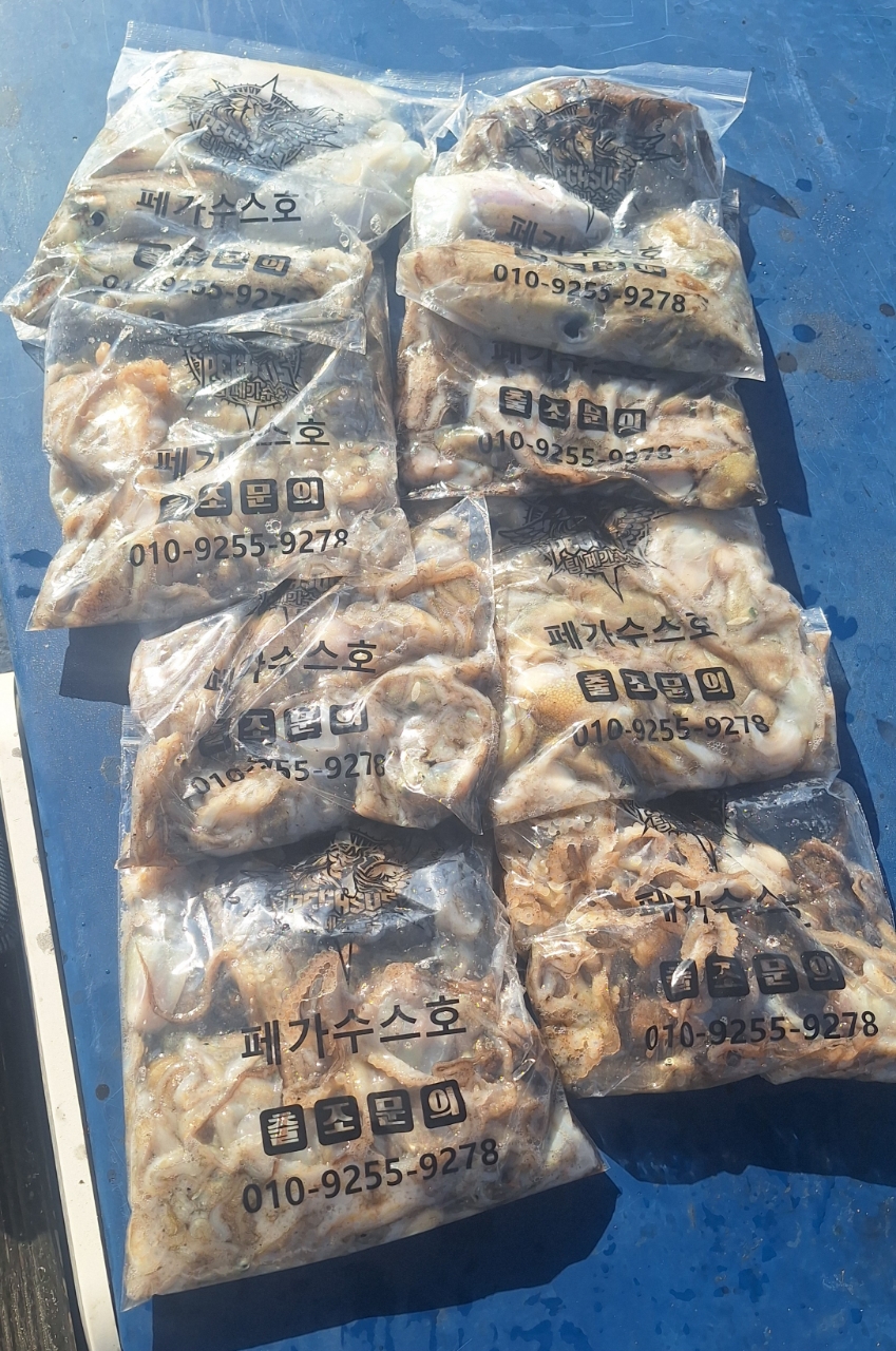 9월 18일 갑오징어 선상낚시 조황 현장 사진 3
