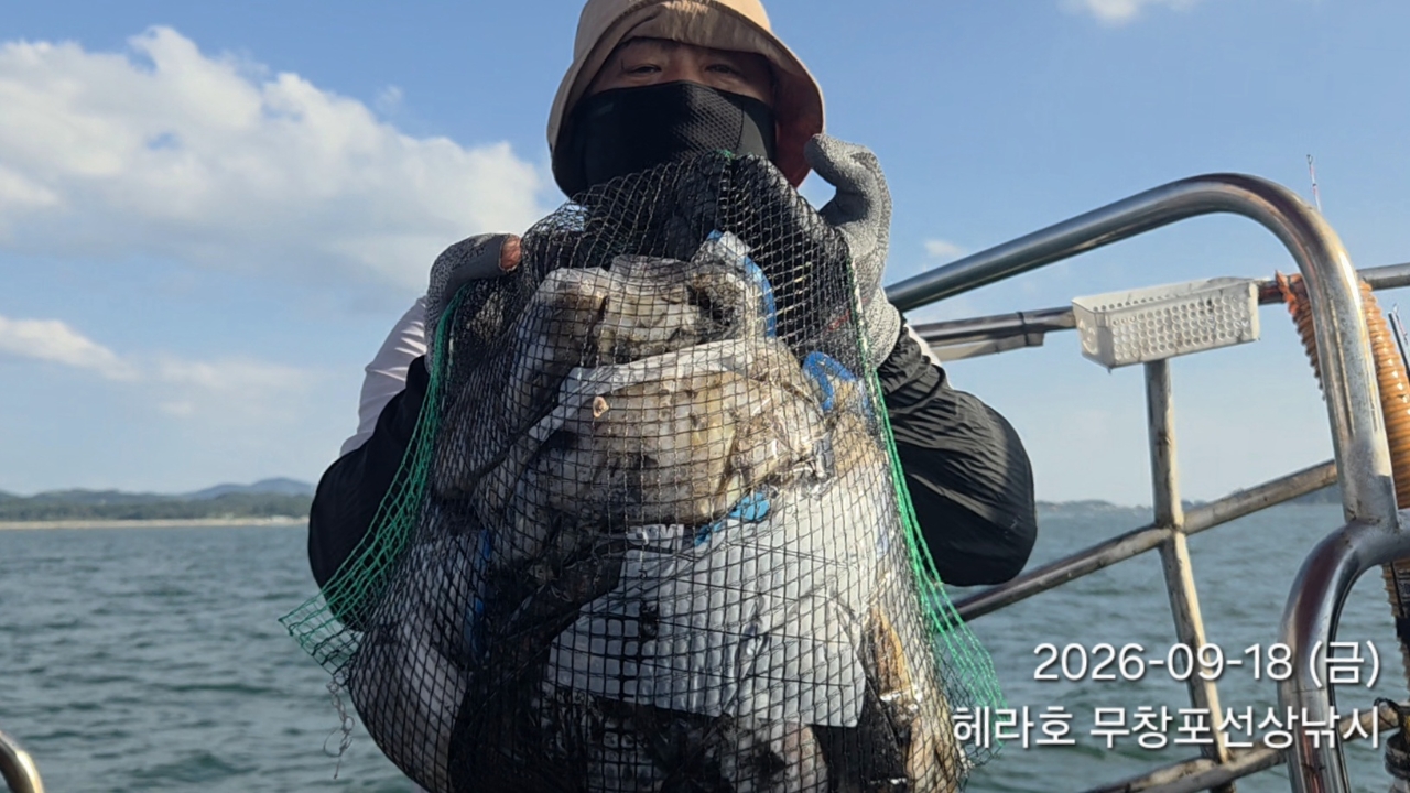 9월 18일 여수 주꾸미 선상낚시 조황 현장 사진 3