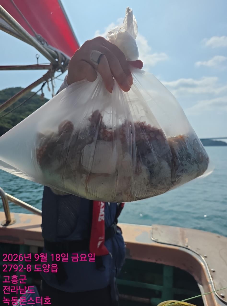 9월 18일 통영 문어 선상낚시 조황 현장 사진 12
