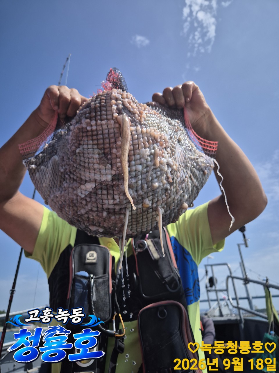 9월 18일 문어 선상낚시 조황 현장 사진 15