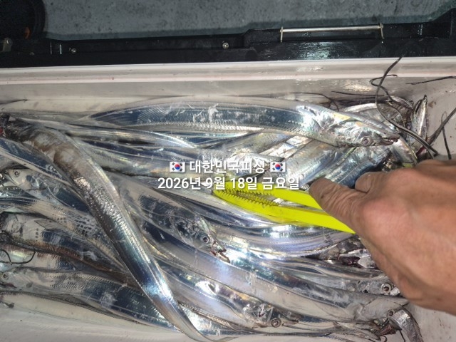 9월 18일 갈치 선상낚시 조황 현장 사진 8