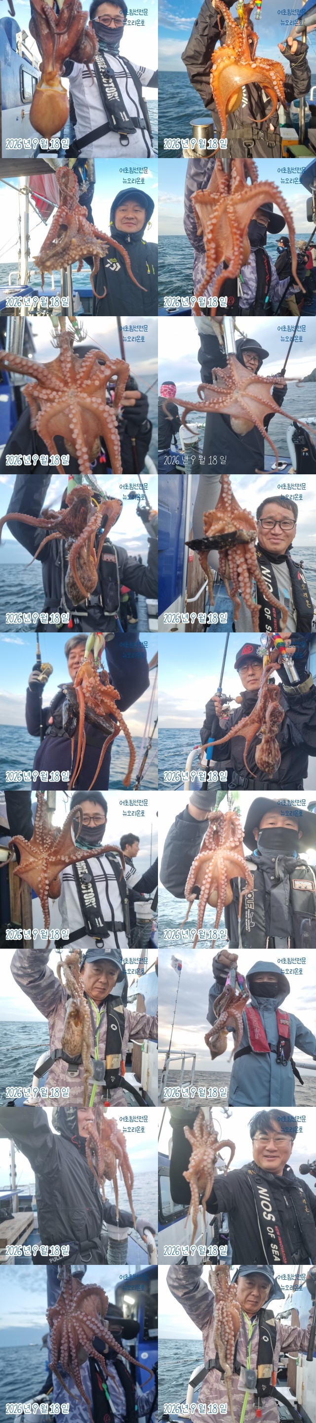 9월 18일 군산 주꾸미 선상낚시 조황 현장 사진 5